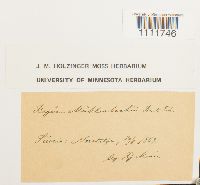 Image Associated With the Occurrence