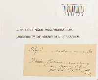 Image Associated With the Occurrence