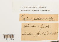 Image Associated With the Occurrence