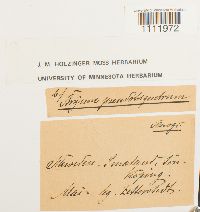 Image Associated With the Occurrence