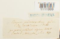 Image Associated With the Occurrence