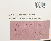 Image Associated With the Occurrence