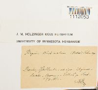 Image Associated With the Occurrence