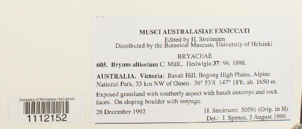 Bryum altisetum image