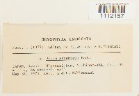 Image Associated With the Occurrence