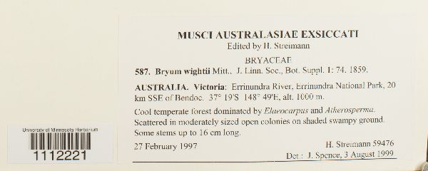 Bryum wightii image