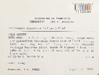 Calliergon giganteum image