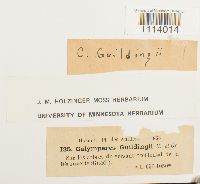 Image Associated With the Occurrence