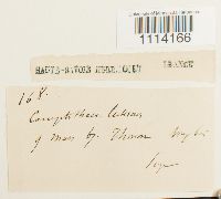 Image Associated With the Occurrence