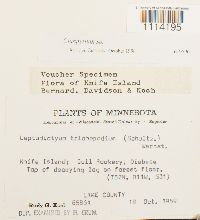 Image Associated With the Occurrence