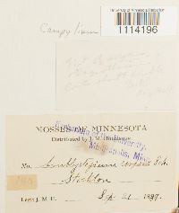 Image Associated With the Occurrence