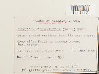 Image Associated With the Occurrence