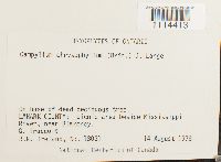 Image Associated With the Occurrence