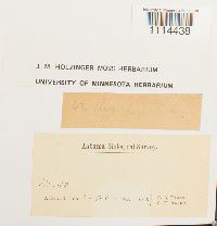 Image Associated With the Occurrence