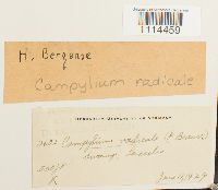 Image Associated With the Occurrence