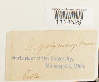 Image Associated With the Occurrence