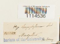 Image Associated With the Occurrence