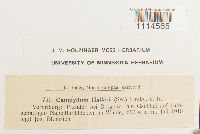 Image Associated With the Occurrence