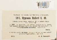 Image Associated With the Occurrence