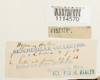 Image Associated With the Occurrence