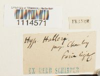 Image Associated With the Occurrence