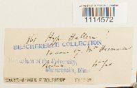 Image Associated With the Occurrence