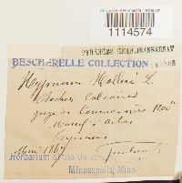 Image Associated With the Occurrence