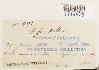 Image Associated With the Occurrence