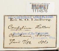 Image Associated With the Occurrence