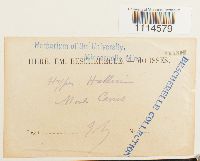 Image Associated With the Occurrence