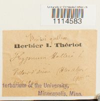 Image Associated With the Occurrence