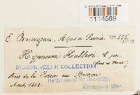 Image Associated With the Occurrence