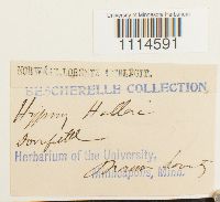 Image Associated With the Occurrence