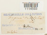 Image Associated With the Occurrence