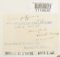 Image Associated With the Occurrence