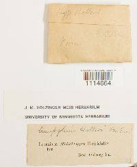 Image Associated With the Occurrence