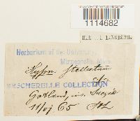 Image Associated With the Occurrence