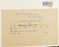 Image Associated With the Occurrence