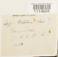 Image Associated With the Occurrence