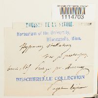 Image Associated With the Occurrence