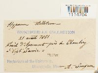 Image Associated With the Occurrence