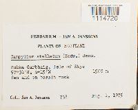 Image Associated With the Occurrence