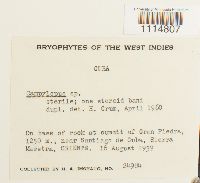 Image Associated With the Occurrence