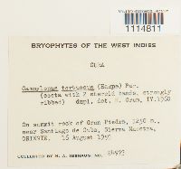 Image Associated With the Occurrence