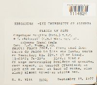 Image Associated With the Occurrence