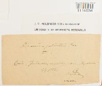 Image Associated With the Occurrence