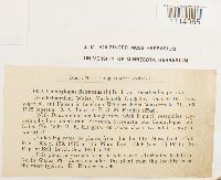 Campylopus flexuosus image