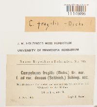 Image Associated With the Occurrence