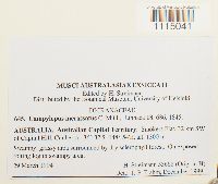 Image Associated With the Occurrence