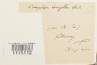 Image Associated With the Occurrence